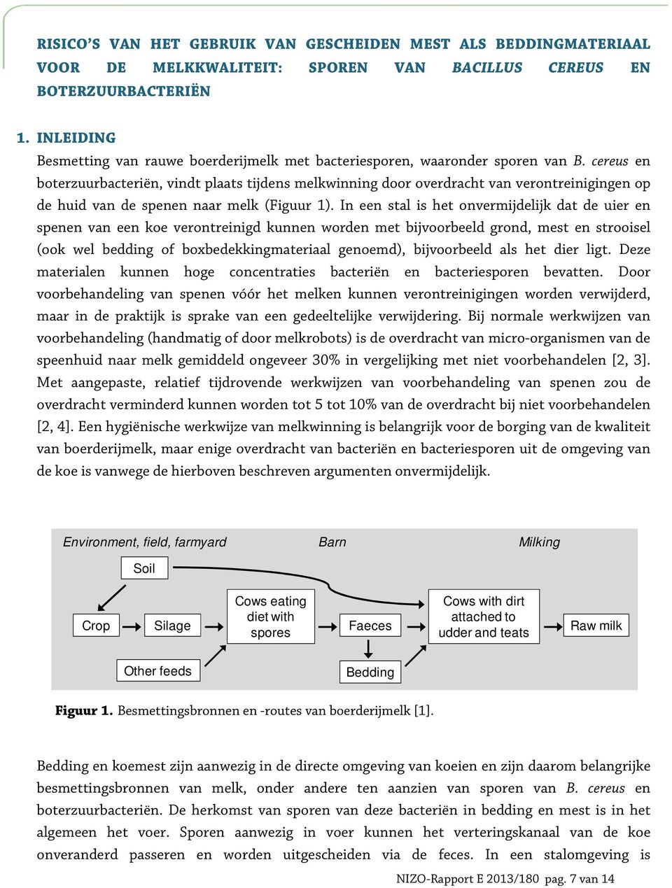 cereus en boterzuurbacteriën, vindt plaats tijdens melkwinning door overdracht van verontreinigingen op de huid van de spenen naar melk (Figuur 1).