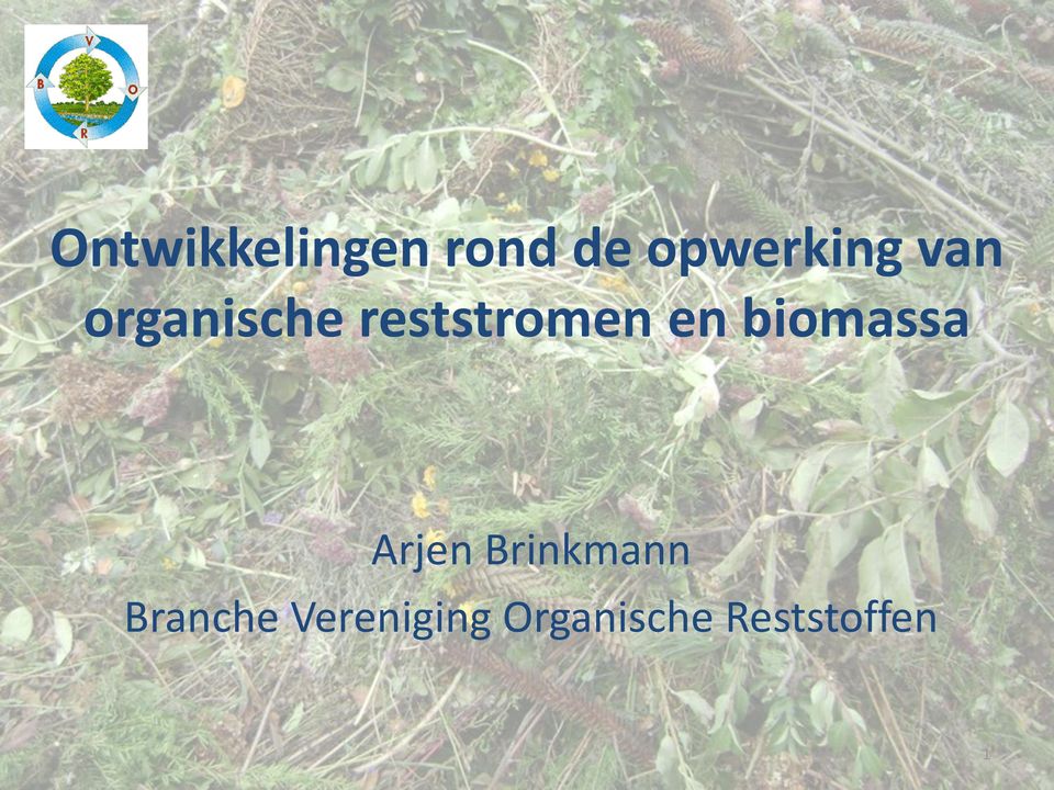 biomassa Arjen Brinkmann Branche