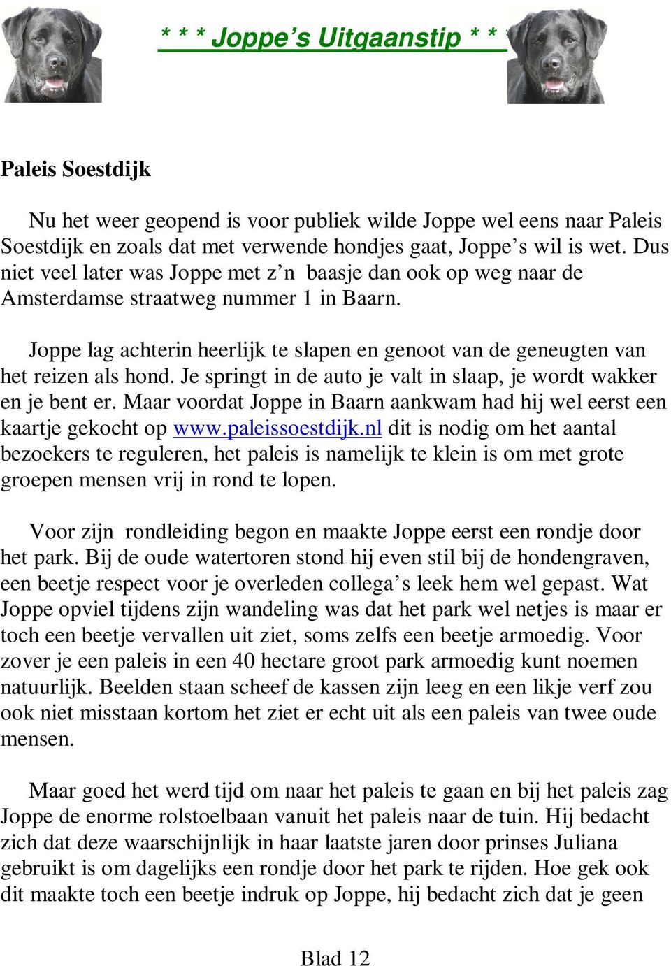 Je springt in de auto je valt in slaap, je wordt wakker en je bent er. Maar voordat Joppe in Baarn aankwam had hij wel eerst een kaartje gekocht op www.paleissoestdijk.