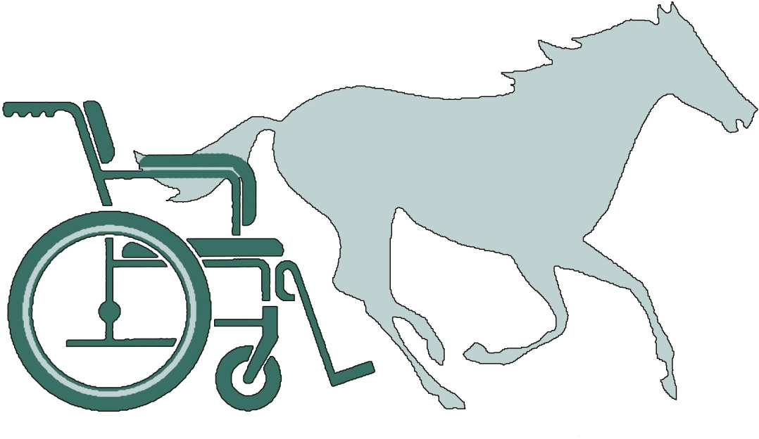 ALGEMEEN De Stichting Paardrijden Gehandicapten Apeldoorn maakt paardensport voor gehandicapten mogelijk.