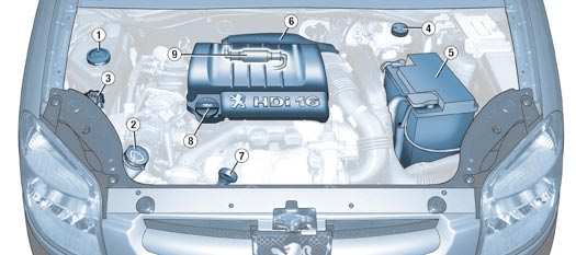 Praktische informatie - 85 1,6 LITER HDI TURBODIESELMOTOR 1. Reservoir stuurbekrachtiging. 2. Reservoir ruiten- en koplampsproeiers*. 4.