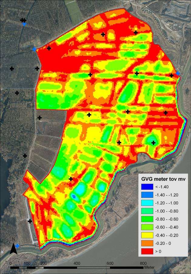 weidevogelgebied. Om een zo groot mogelijk aandeel van het weidevogelgebied van Rupelmonde geschikt te maken voor weidevogels is een vernatting noodzakelijk.