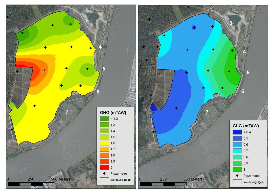 Figuur 5: Geïnterpoleerde gemiddelde hoogste grondwaterstand (GHG) (links) en geïnterpoleerde gemiddelde laagste grondwaterstand (GLG) (rechts) van het weidevogelgebied en bosgebied in Bazel en