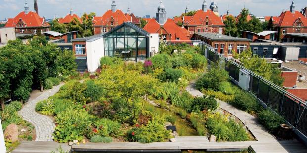 Aanleiding Stedelijk gebied sterk in beweging Verandering van speelveld Grote vraagstukken waaronder omgaan met klimaatverandering Veel kansen (circulaire economie, bijdrage leefkwaliteit in de