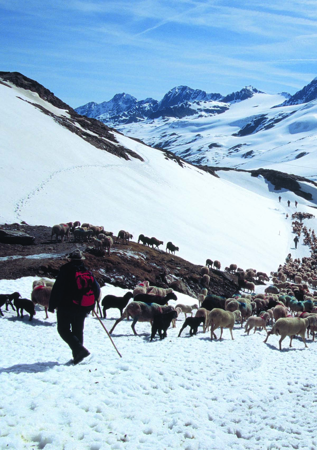 SFEERVERHAAL Tekst en fotografie Gijs Loning Ieder jaar trekken duizenden schapen en een tiental herders over de grens die Italië en Oostenrijk scheidt.