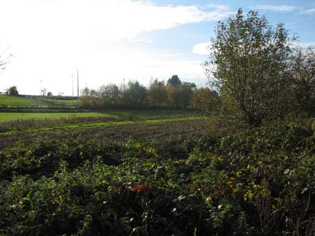 Spoorwegberm 4 tussen de strook bomen en de spoorbaan: ingreep 7; ten zuiden van de strook bomen: ingreep 2 1 2 ingreep 7 3 de spoorwegberm verbinden met de houtkant ten zuiden ervan door ingreep 6