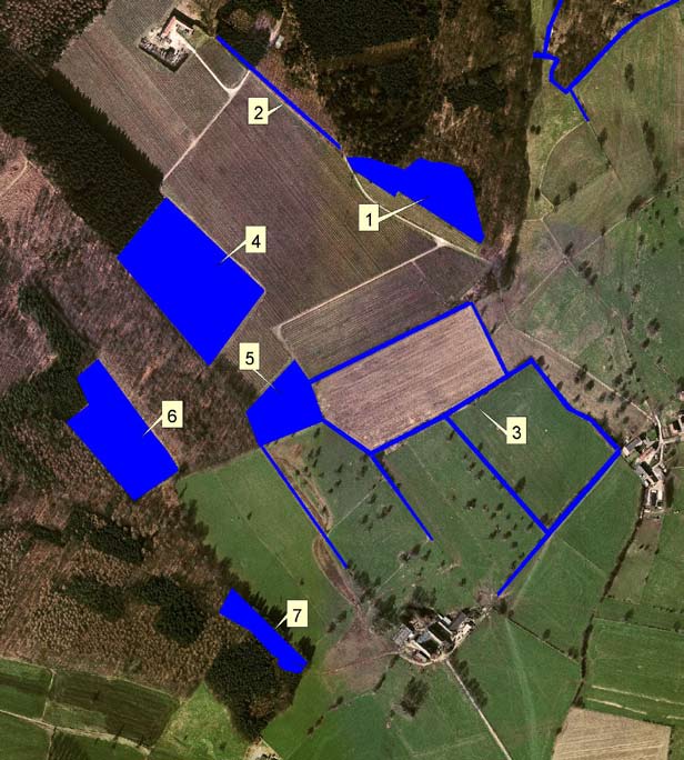 9.2.6. Vrouwenbos / Stroevenbos / Sint-Gillisbos en Lobos Naast de hierna vermelde beheermaatregelen dient de bosrand op zoveel mogelijk plaatsen geschikt gemaakt te worden via ingreep 2 of 1.