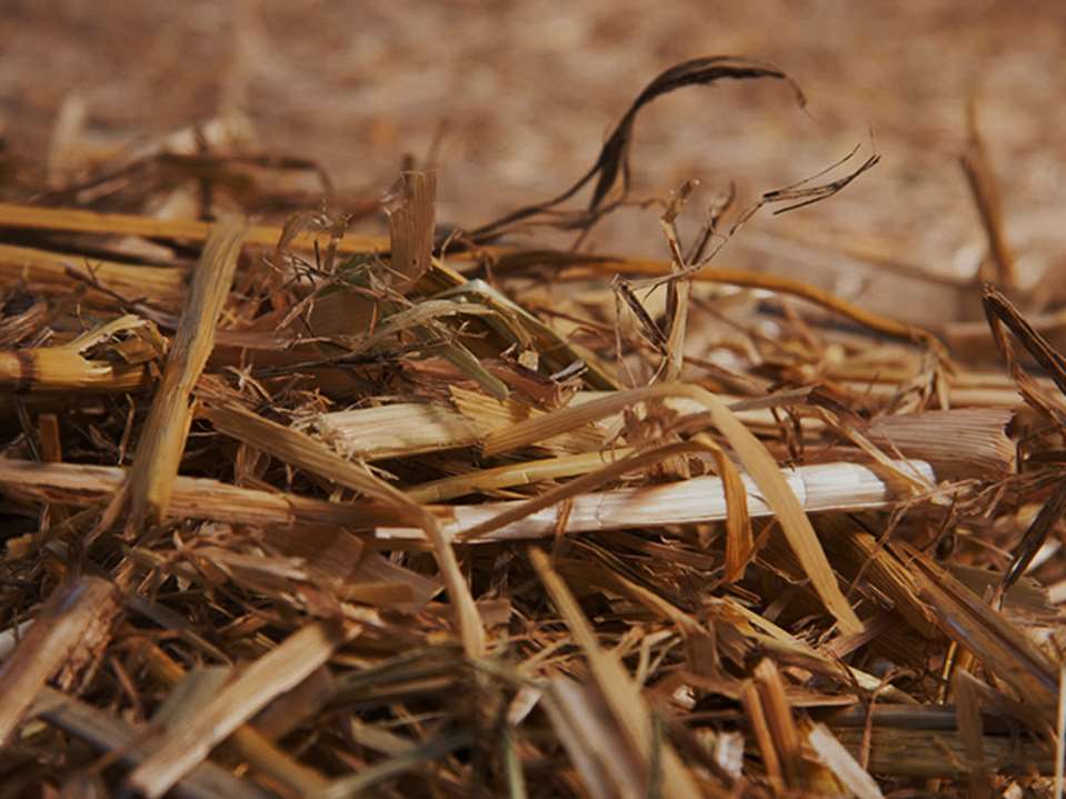 Organische stof in de bodem 3% organische stof in de bouwvoor = 100