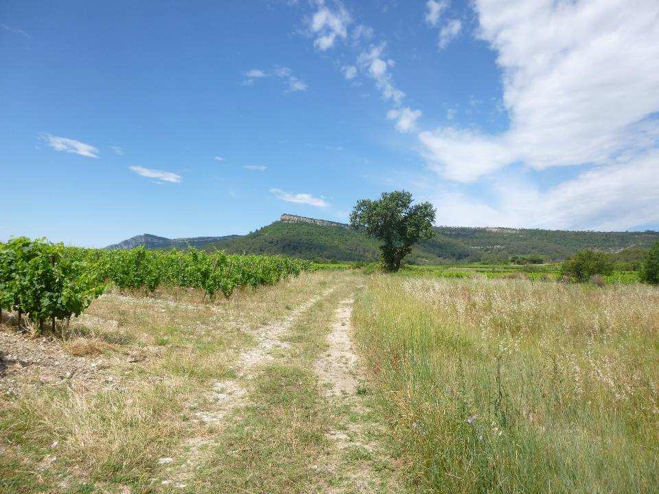 Domaine Clos Marie Christophe diende bij de Koninklijke Marine, zet in 1992 voet aan wal. De wijngaarden waren van de oma van Françoise: Marie. Julien is een echte Languedocnaam.