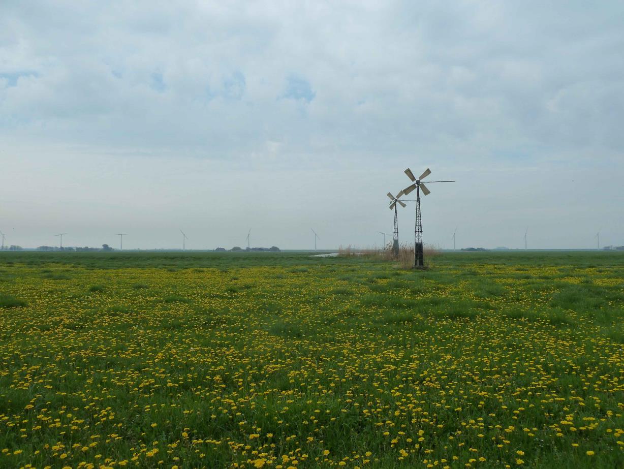Sovon-rapport 2015/13 1. Inleiding In het voorjaar van 2014 werden enkele terreinen van Het Flevo-landschap (86 ha) geïnventariseerd op broedvogels.