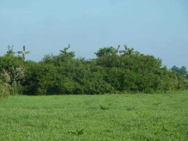 Broedvogels van het Gorzenveld, Gruttoveld en de Rassenbeektochtstrook in 2014 2.