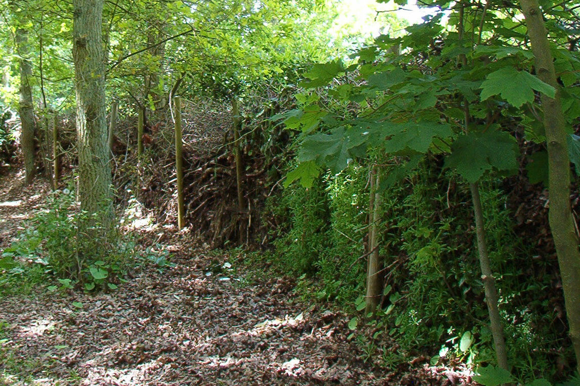 onttrekken (eventueel onder voorwaarden - met een hek). Vanaf de Beukenlaan: natuurlijke tuinbegrenzingen in de vorm van hagen (onder voorwaarden).