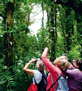 N a t i o n a l e p a r k e n 8 3 Een gids voor het tropische oerwoud Wie in het dichte oerwoud van Costa Rica wilde dieren wil zien, moet lopen zonder lawaai te maken en op een nieuwe manier leren