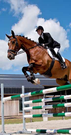 EquiRock Dé basis voor betere prestaties Een goede bodem is essentieel voor paard én ruiter. EquiRock zorgt voor een goede bodem.