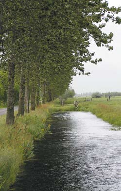 gebied rond Zegveld P.C. Jansen E.P. Querner C.