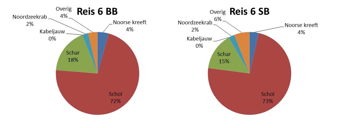 Reis 5 & 6 Zoals ook al werd aangegeven door Jacob van Urk bleven de Noorse kreeftjes in de stuurboordzijde achter in reis 5. Dit is ook te zien in de samenstellingen van de monsters.