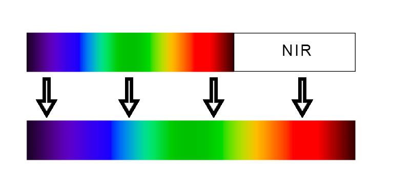 Het verschil tussen gezonde en ongezonde planten zit hem namelijk in de reflectie van NIRstraling.