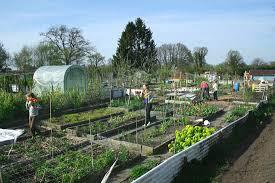 Food for Good is een grote moestuin in Park Transwijk waar groenten, kruiden en bloemen verbouwd worden, met vrijwilligers uit de buurt.