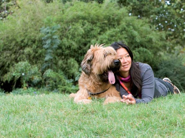 Goede 24 uurs werking Door middel van bepaling van de plasma ACE-concentratie is de werkingsduur van verschillende ACEremmers vergeleken bij normale, gezonde honden.