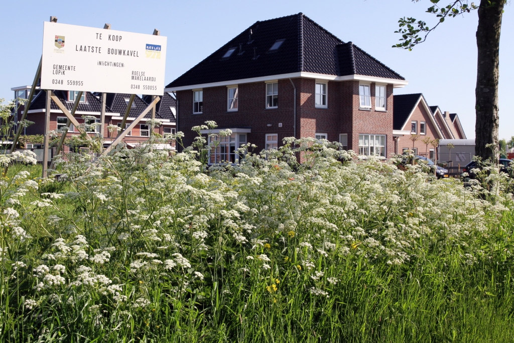Woningbouwlokatie gemeente Lopik Noord-Holland, Flevoland en Zuid-Holland.