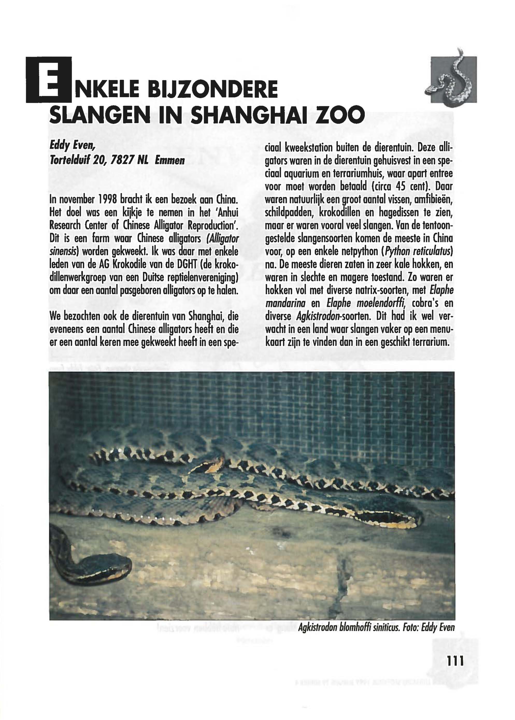 DNKELE BIJZONDERE SLANGEN IN SHANGHAI ZOO Eddy Even, Tortelduif 20, 1821 NL Emmen In november 1998 bracht ik een bezoek aan China.