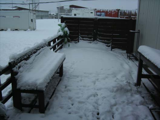 Een ondergesneeuwd paradeplein. Sneeuw en het hoofdkwartier. Onze visvijver. Het terras.