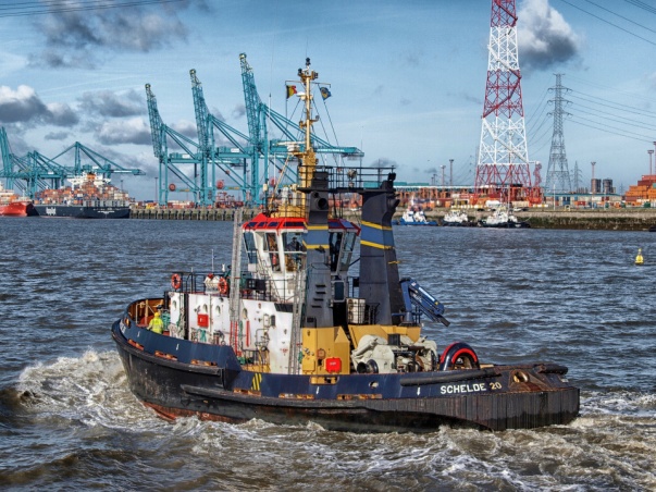 dat hij niet tegen een ander schip vaart, dat hij op de juiste plaatsen in de haven vaart. Deze kleine boten heten sleepboten. Wie bestuurt die sleepboten?