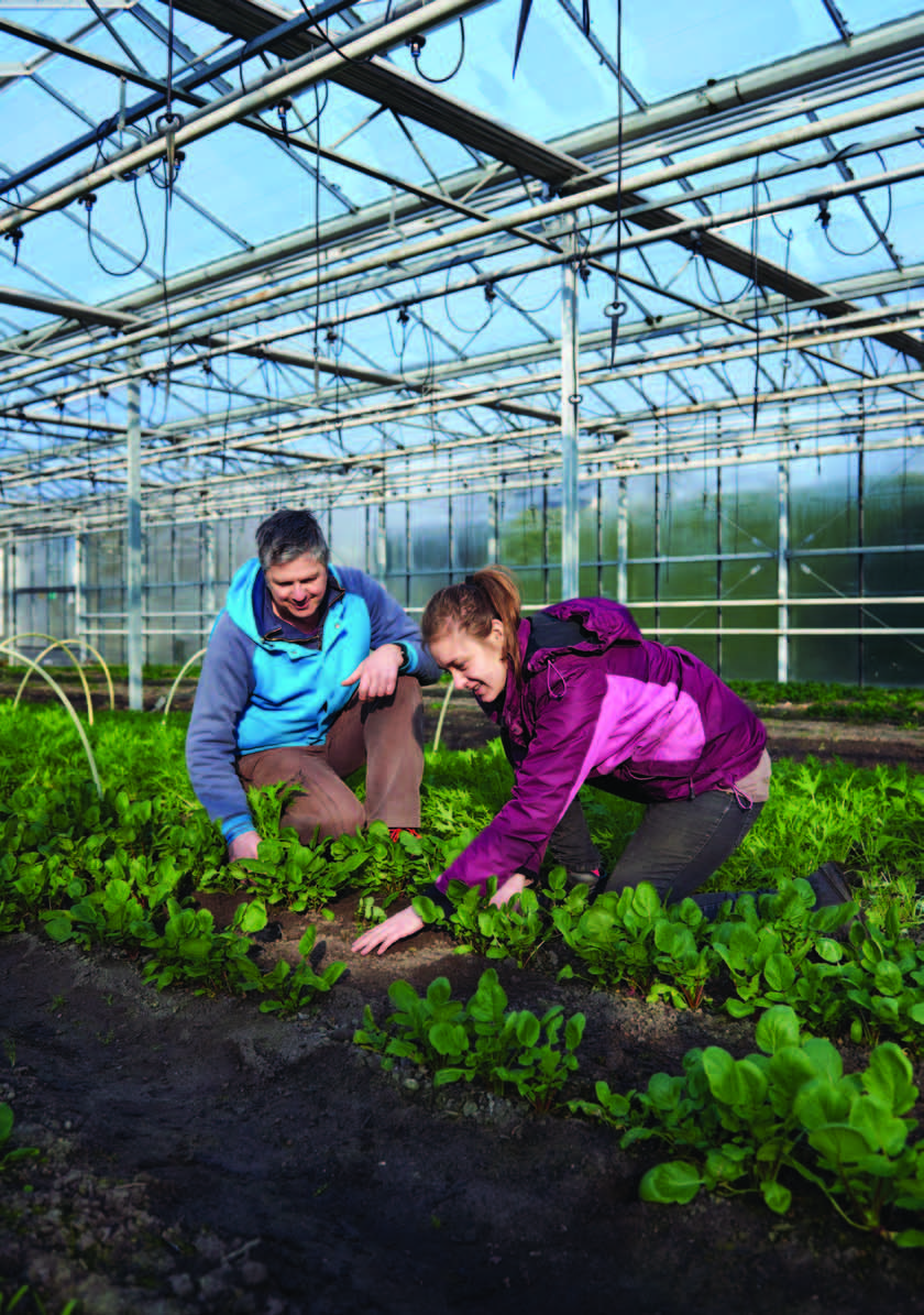 Colofon Uitgave: Redactie: Vormgeving: Foto omslag: Drukwerk: UWV en Samenwerking Beroepsonderwijs Bedrijfsleven (SBB), november 215 UWV en SBB SBB The Oddshop/SBB Bestenzet, Zoetermeer