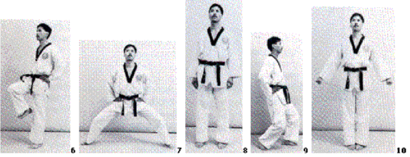 2. Standen Tijdens de beoefening van Taekwondo staat men in verschillende standen. De standen en de juiste uitvoering ervan zijn belangrijk, omdat de balans hierdoor bepaald wordt.
