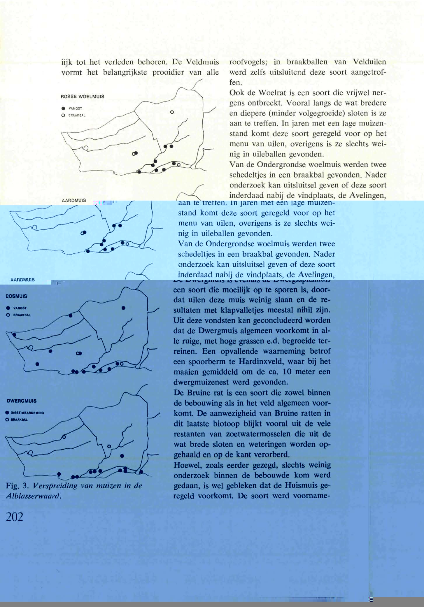 iijk tot het verleden behoren. De Veldmuis vormt het belangrijkste prooidier van alle Fig.. Verspreiding van muizen in de Alblasserwaard.