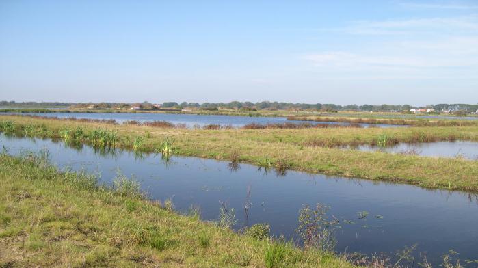 In het aangrenzende gebiedje bij de toekomstige camperplaatsen, wat nog eigendom is van de gemeente Steenwijkerland, kwamen ook veel vogels voor.