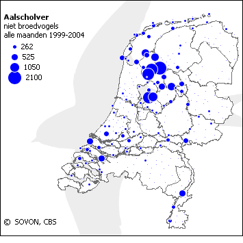21 Aalscholvers in Friesland Bij vis en visstand problematiek wordt er vaak een connectie gelegd met de aalscholver.