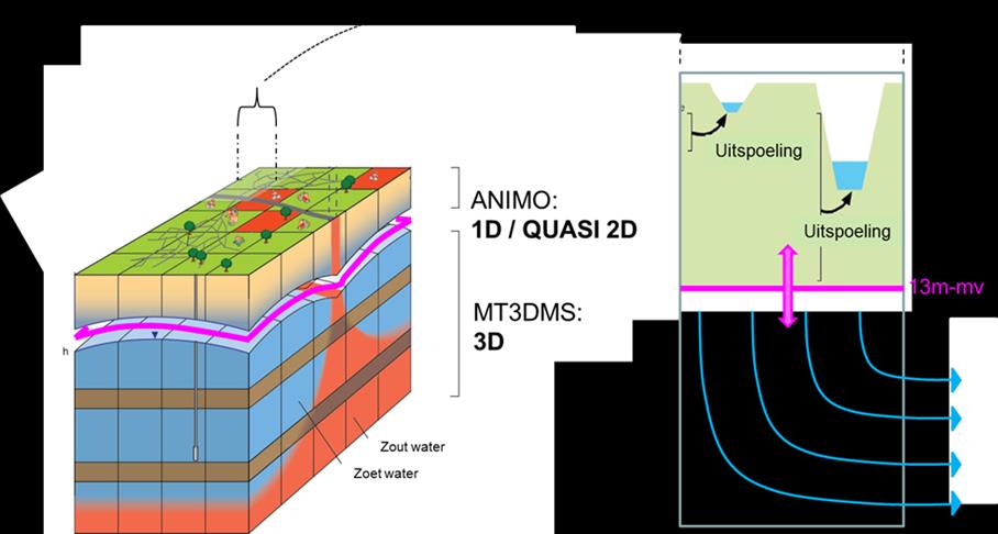 De uitwisseling van vrachten is op de volgende manier gerealiseerd in de ANIMO-MT3DMS koppeling: - Het uitspoelingsmodel berekent op basis van de waterfluxen (uit MetaSWAP) de stofvrachten (ANIMO)