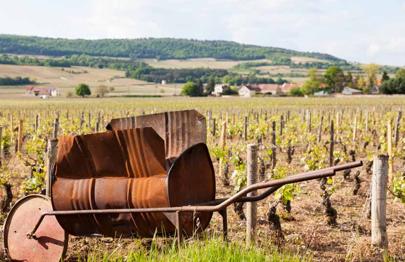 François Carillon Carillon is een van de grote namen in de productie van witte wijnen in de Côte d Or. Het domaine gaat terug tot de 16e eeuw.