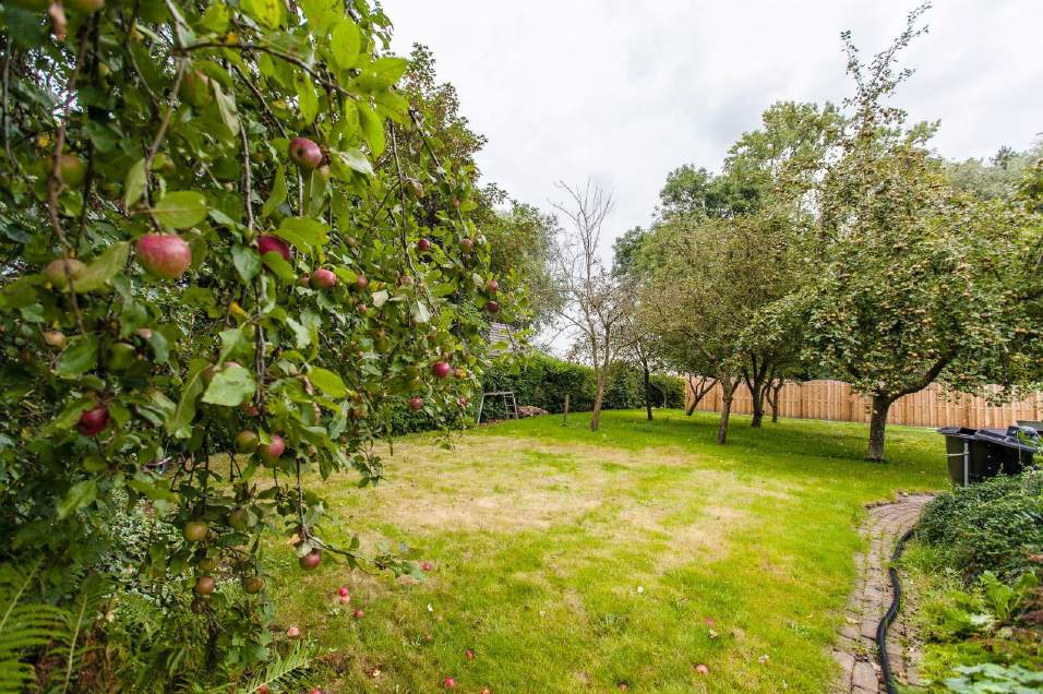 De woonkamer bevindt zich aan de voorzijde van de woning en is voorzien van een laminaatvloer en een karakteristiek balkenplafond. De woning beschikt over drie slaapkamers van ca.