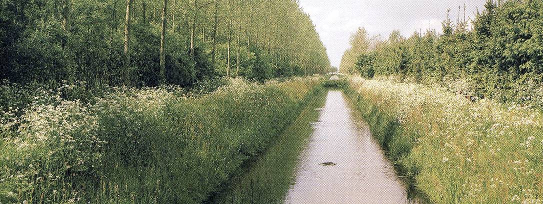 Degradatie hoogvenen Hoogveenrestanten worden verworven Vervening