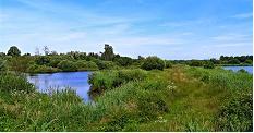 Natuur Studie Week NBAT Beste natuurliefhebber, We gaan dit jaar voor de 61 e keer met aquarium- terrarium- en andere natuurliefhebbers op stap in het prachtige landschap van Zuid-Limburg en