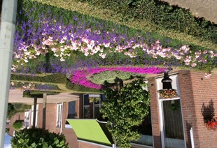 09 Dit zijn de mooiste drie! De inzenders van deze bijzonder fraaie tuinen zijn onlangs uitgeroepen tot winnaars van de Wonen Zuid tuinwedstrijd.