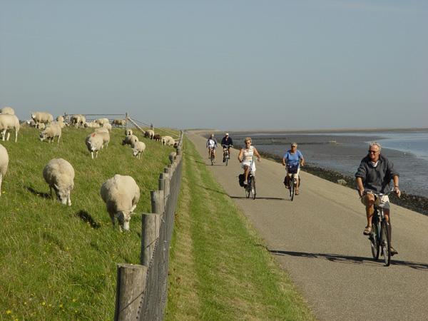 platen een toegevoegde waarde oplevert voor de recreatieve beleving van de watersporters. Het behoud van de slikken en platen wordt licht positief (+) beoordeeld.