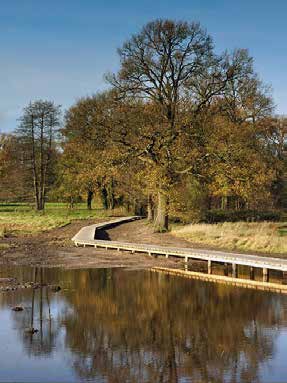 Voorbeeld van een rivierfont met rietkragen, bij Groot-Ammers.