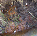 Hoofdstuk 3 3.11 Drainagebuizen ontnemen bronwater haar natuurlijke weg (Noordzijde Kuiperberg) 3.