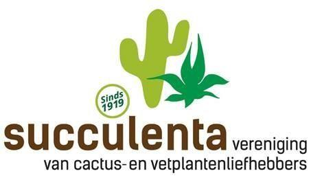 NOVIOCACTUM Digitale nieuwsbrief van de afdeling Nijmegen van Succulenta Jaargang 2 nummer 2, februari 2017 vruchtjes van Haemanthus