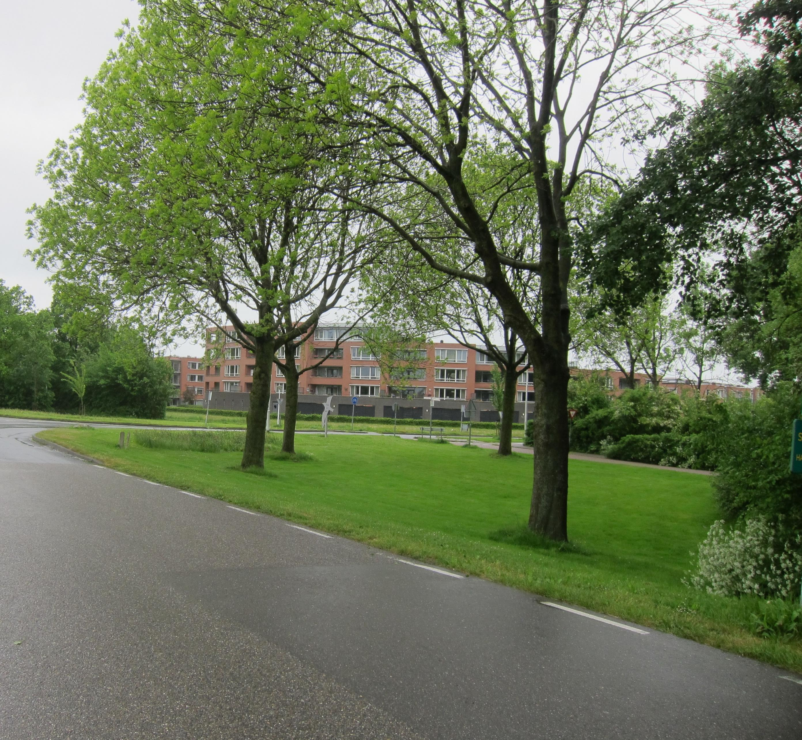 Beweegbare fiets- en voetgangersbrug Dokkum