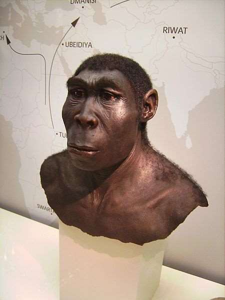 Homo erectus Verschillende migratiegolven Kende