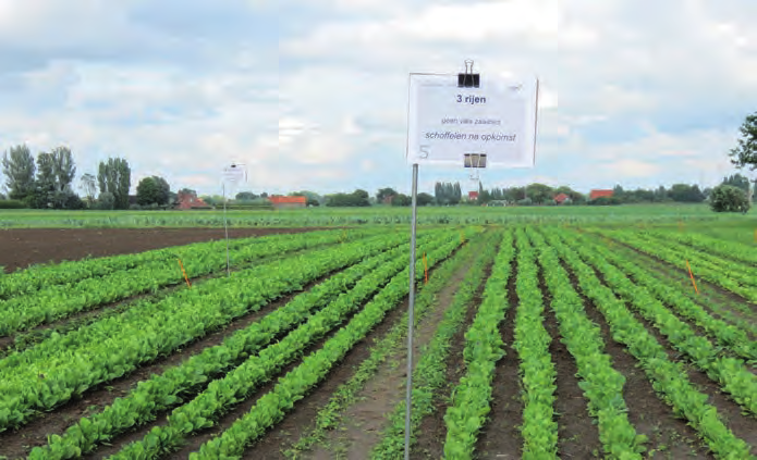 plantaardige projecten in. Akkerbouwteelten komen het minst voor. Bij de dierenprojecten zijn rundvee (38%) en pluimvee (31%) de belangrijksten. Ook geitenprojecten komen frequent voor (19%).