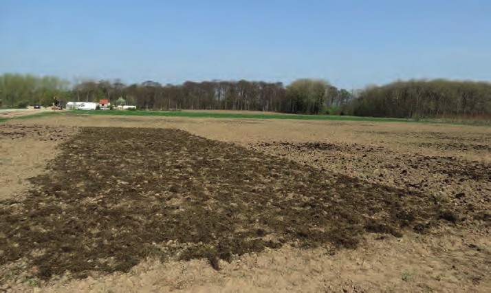Eerste resultaten Bij Inagro en ILVO werd in 2015 een proef met aardappelen aangelegd, waarbij de maaimeststof (grasklaver) bij aanvang van het groeiseizoen op verschillende manieren aan de bodem