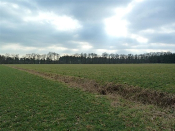 Conform de toelichting van de Vr.