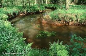 Natuur: Het landgoed is rijk aan natuur. Het grootste gedeelte van het landgoed bevindt zich binnen de EHS.