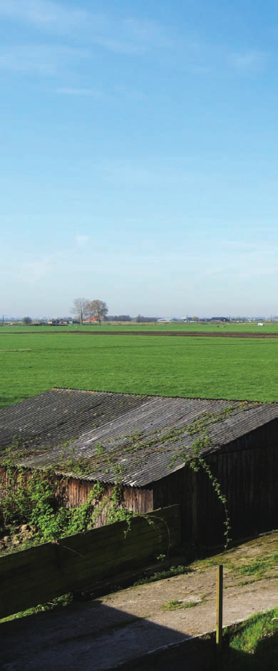 TUIN Doordat de oprit verlegd wordt, ontstaat er aan de voorzijde van de woning een riante tuin. Deze dient opnieuw aangelegd te worden.