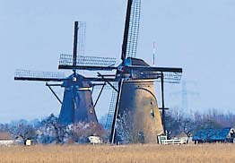 17 februari 2012, pag. 4 Molenaar komt om in eigen molen Kinderdijk Een 48-jarige molenaar van een van de molens van Kinderdijk is door een bedrijfsongeval om het leven gekomen.